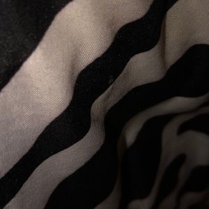 Meet your Posher, Chikis &